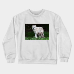 Remus and Romulus - Arctic Wolf Crewneck Sweatshirt